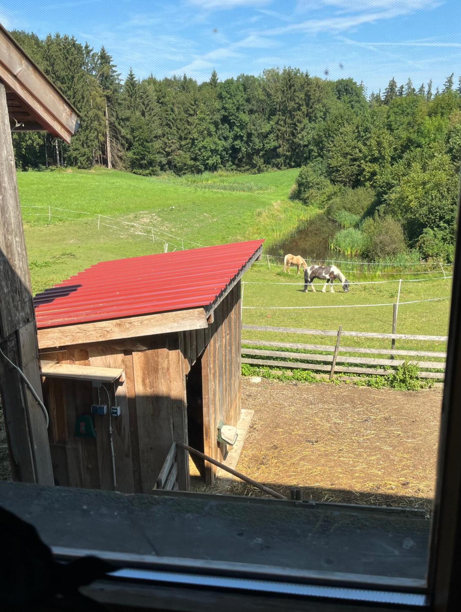 Ferienwohnung Metzner Gars Eksteriør billede